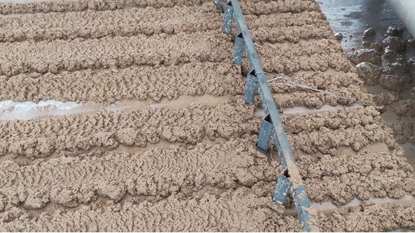 带式压滤机滤布老是跑偏打折怎么办？耐磨、不跑偏滤布【旭瑞网业】